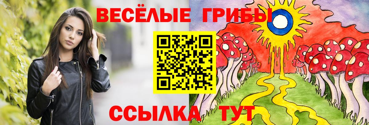 Псилоцибиновые грибы GOLDEN TEACHER Печора